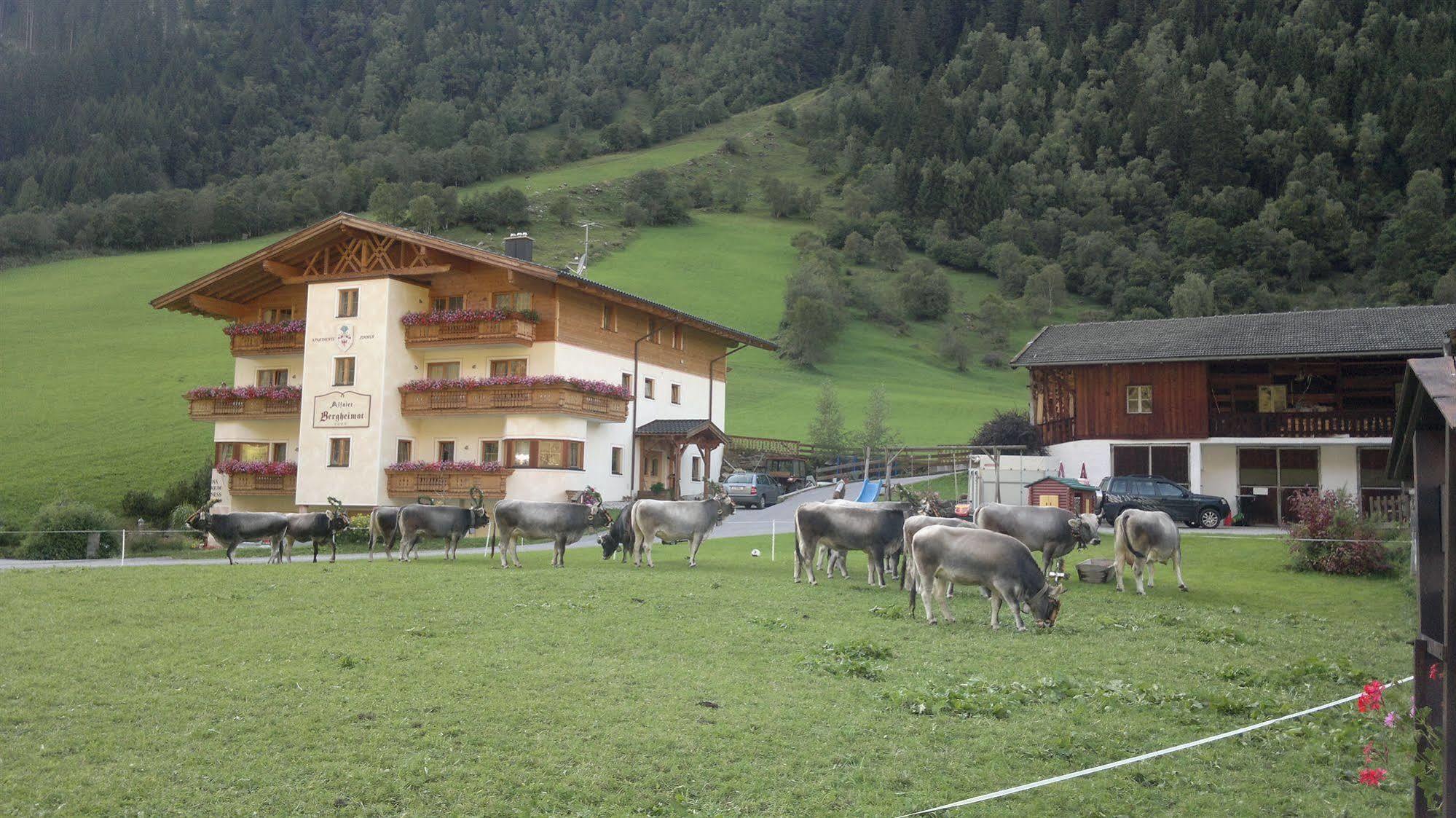 Hotel Alfaierhof-Bergheimat Gschnitz Exterior foto