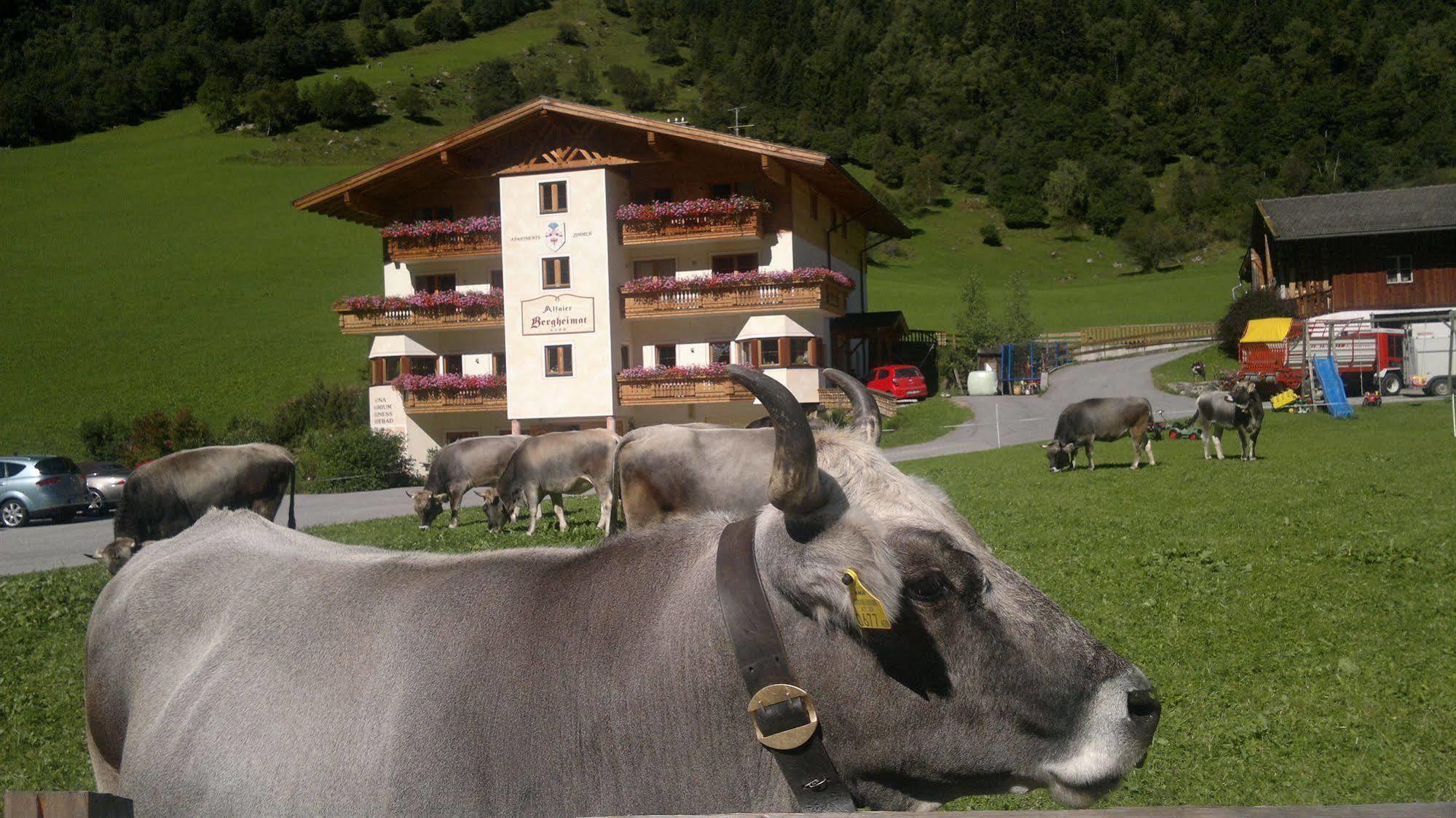 Hotel Alfaierhof-Bergheimat Gschnitz Exterior foto